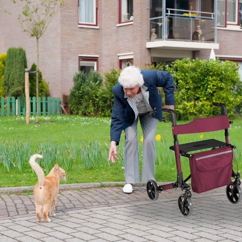 chodítko pro seniory BestBerg